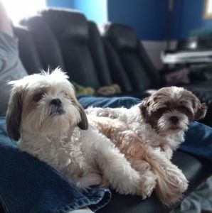 Meet your Posher, Anita